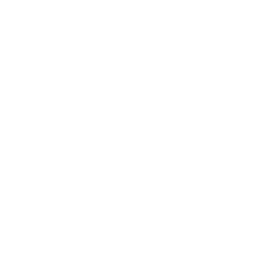 SG Holdings youtube