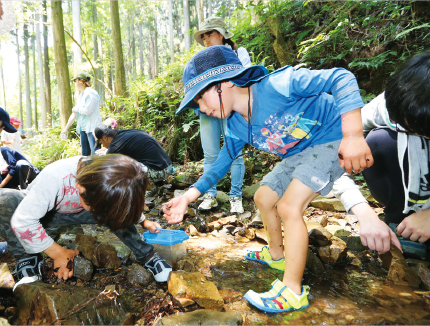 Takao 100-Year Forest