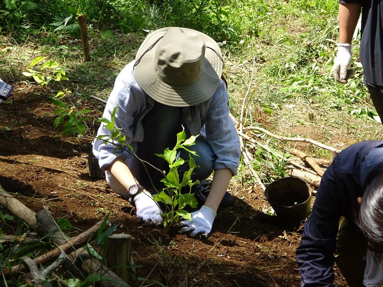 企業間連携による植樹体験の様子