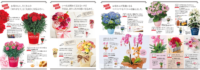 動画付 しゃべるフラワーギフト 3月13日より販売開始 ニュースリリース ｓｇホールディングス
