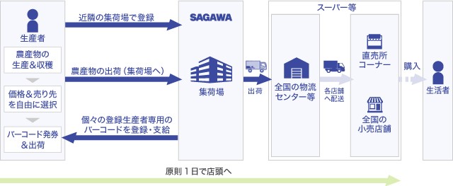 フロー図.jpg