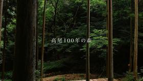 新CM「高尾100年の森」篇の写真３