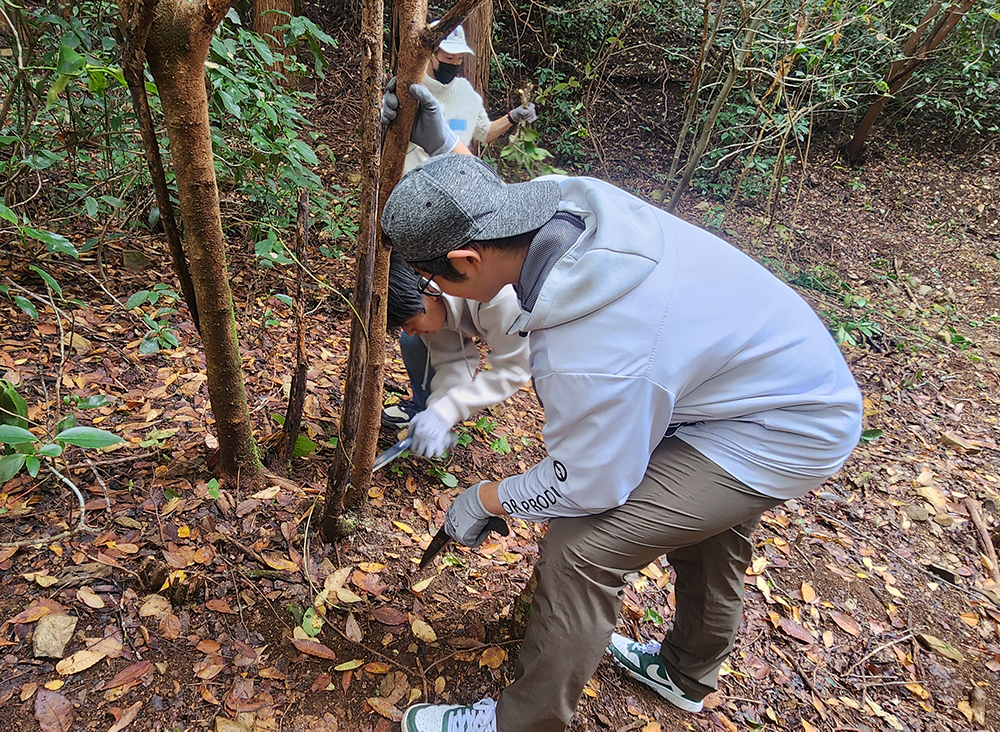 間伐体験の様子