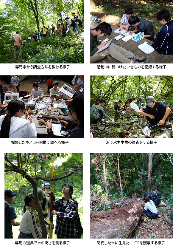 本プログラムの様子