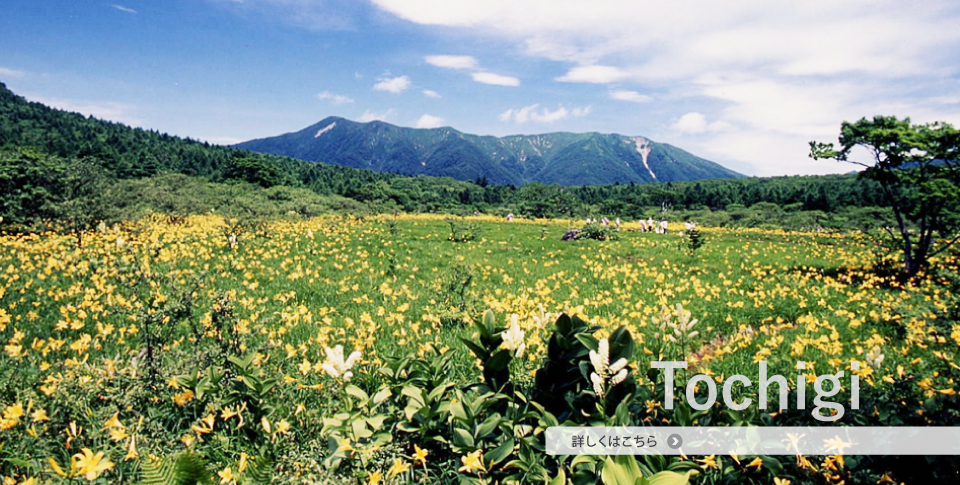 栃木県