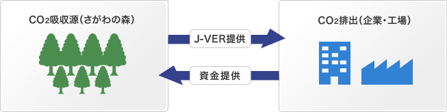 国内の森林保全に貢献する「さがわの森」J-VER